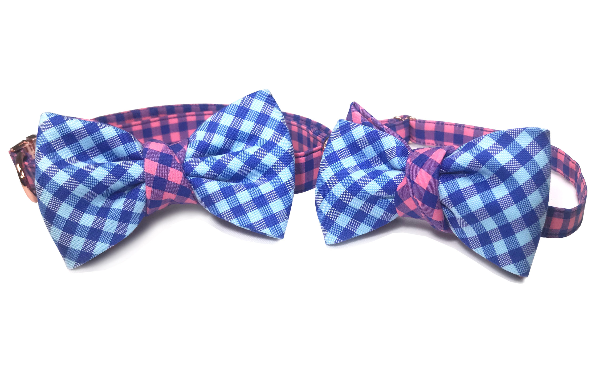 Blue & Pink duo IMG-8511