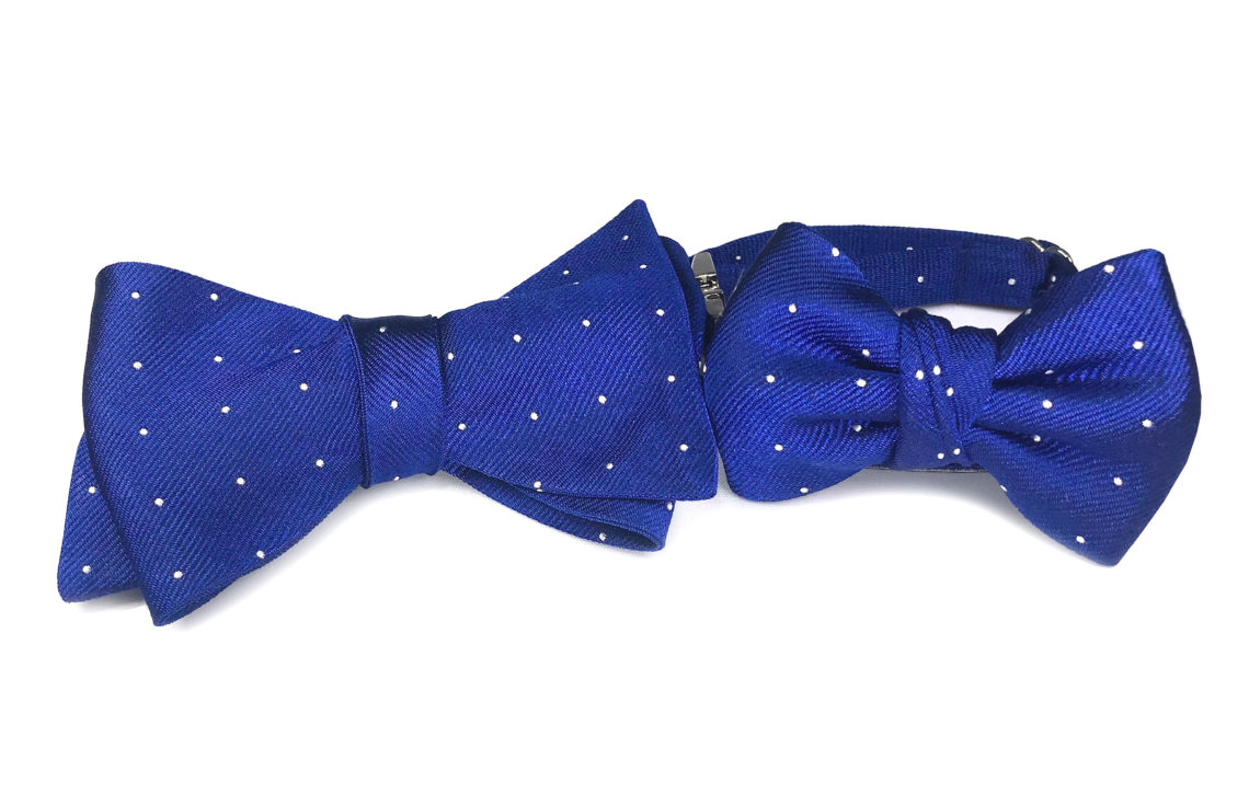 Royal Blue bt+petIMG-8835