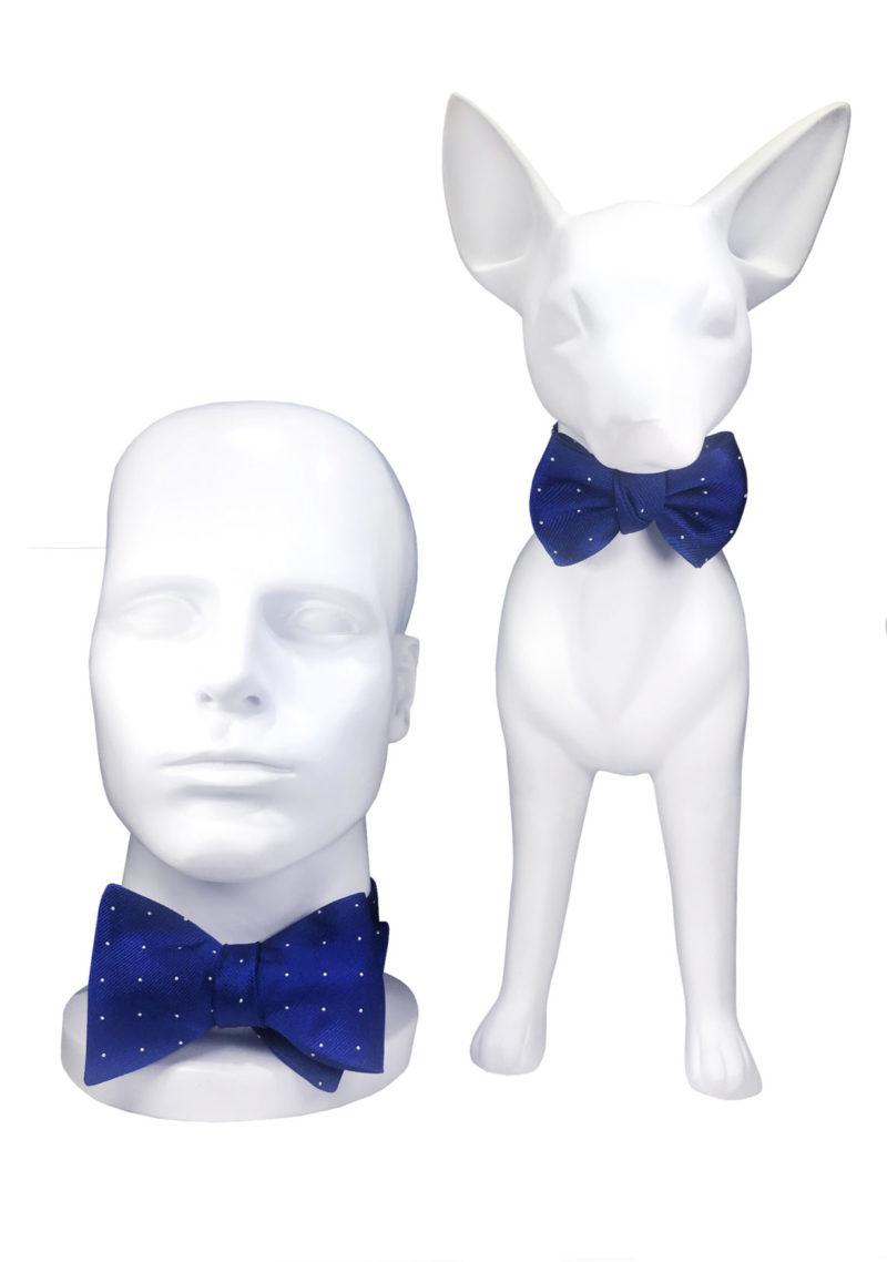 Royal Blue set IMG-0303